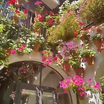 Appartement Geysotur La Estrella *
