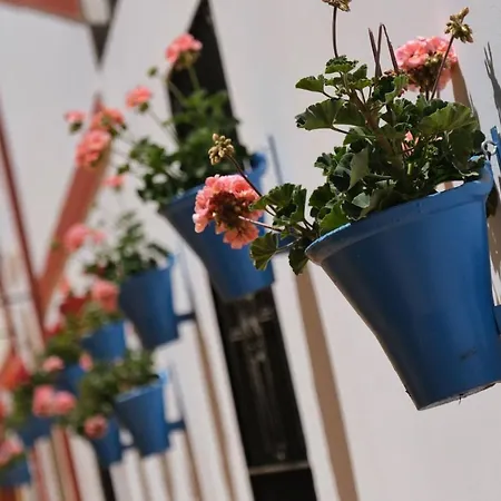 Appartement Geysotur La Estrella