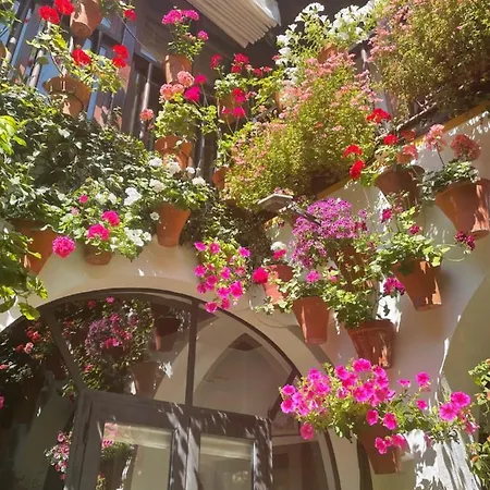 Apartamento La Estrella *